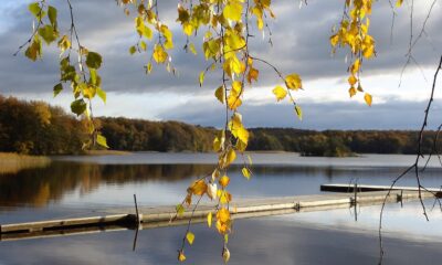 sweden, bathing jetty, autumnal